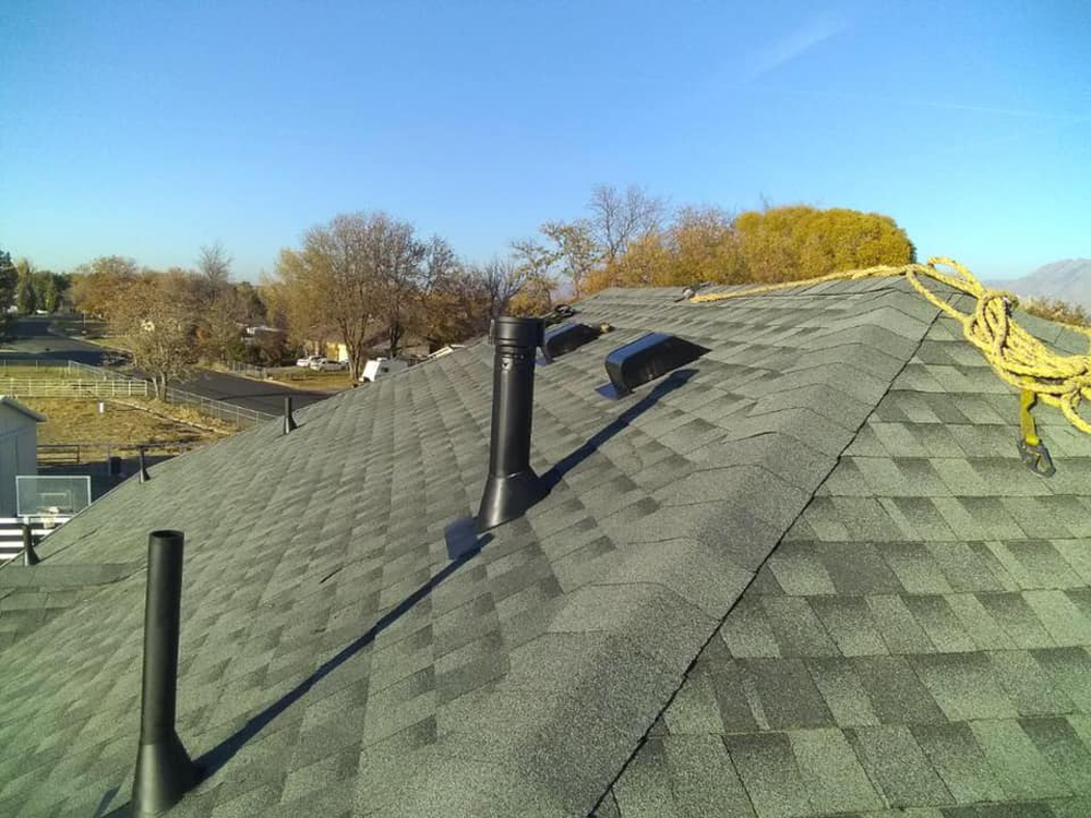 Professional Roofing Services