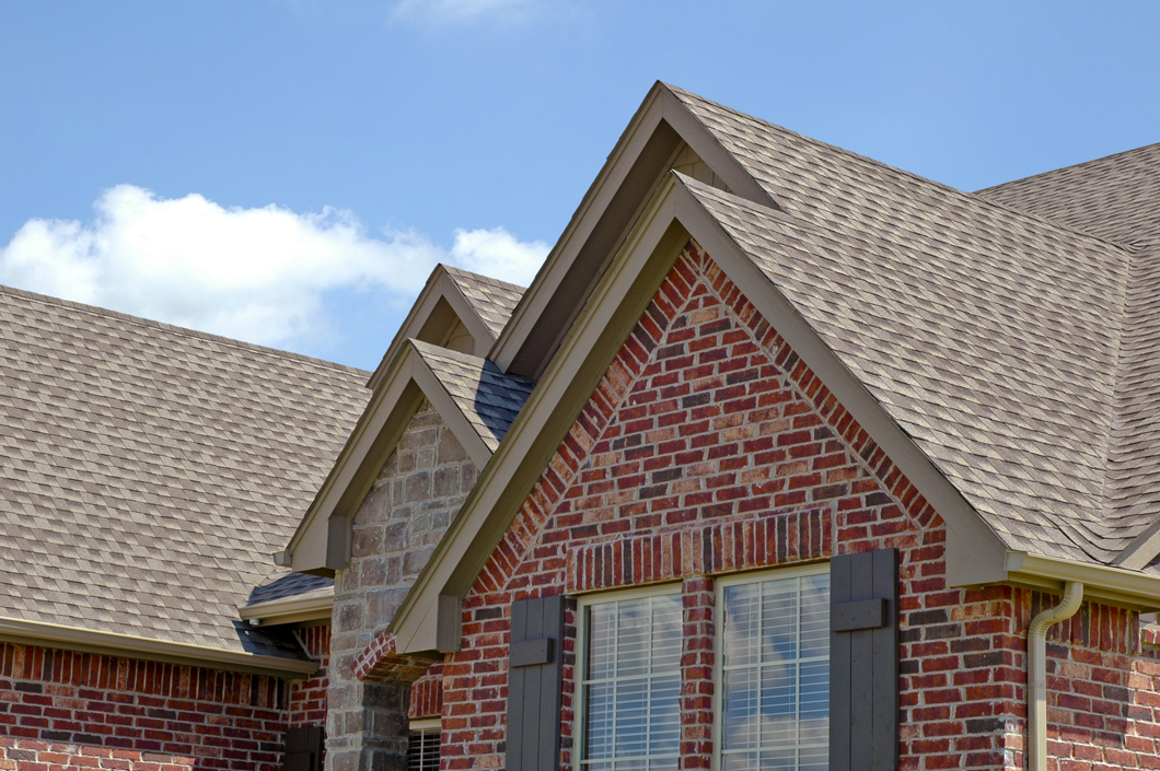 Professional Roofing Services