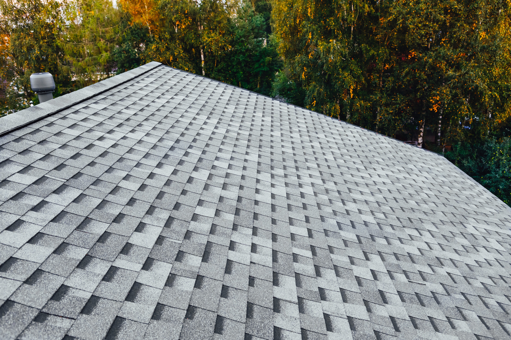 Roofing Services