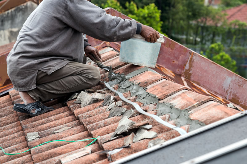 Professional Roofing Contractors