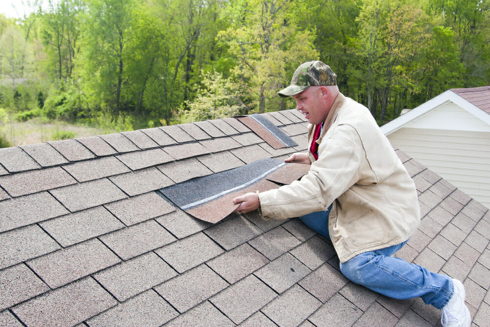 Vinyl Roofing